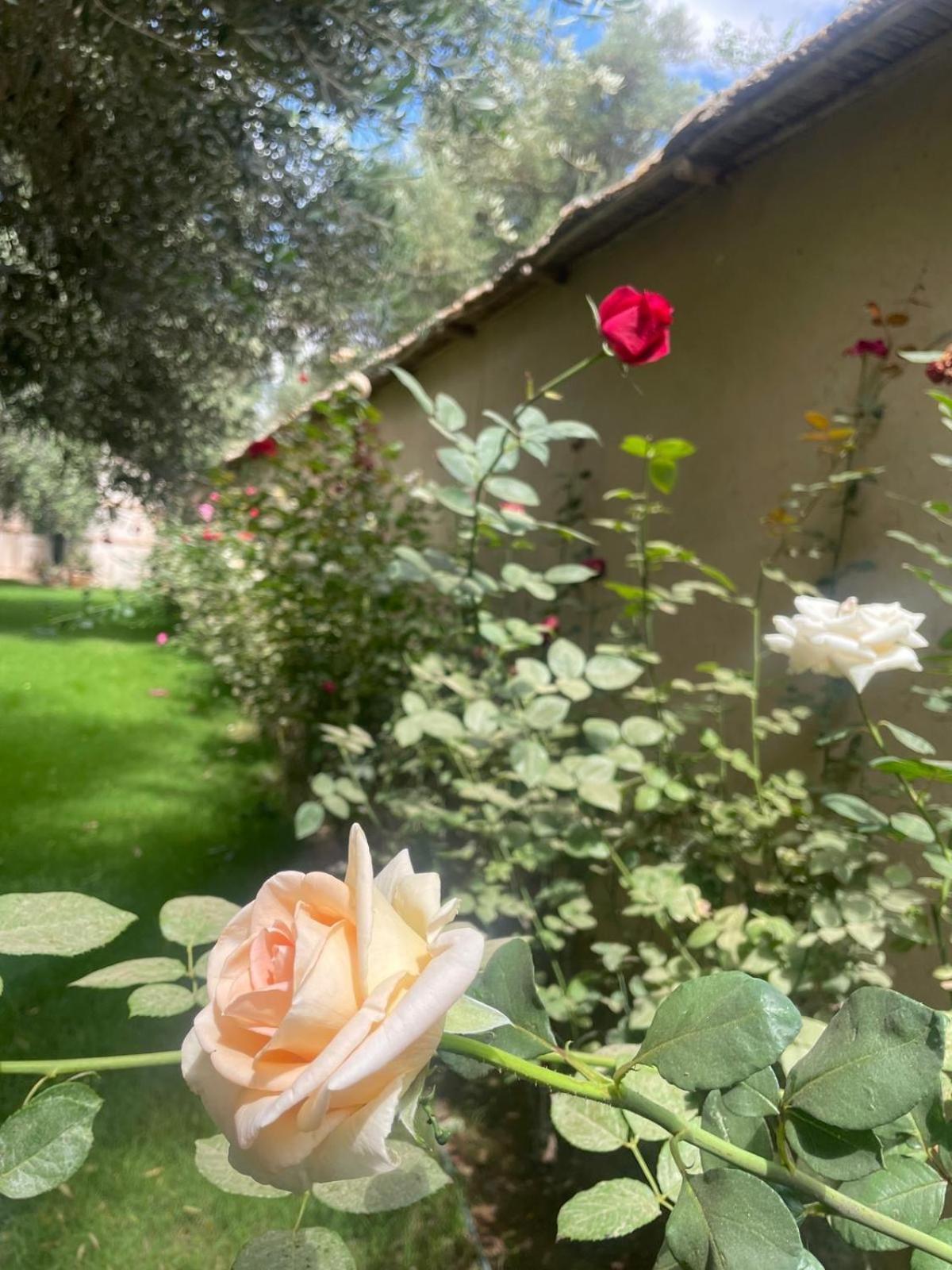 Riad Le Jasmin Taroudant Esterno foto