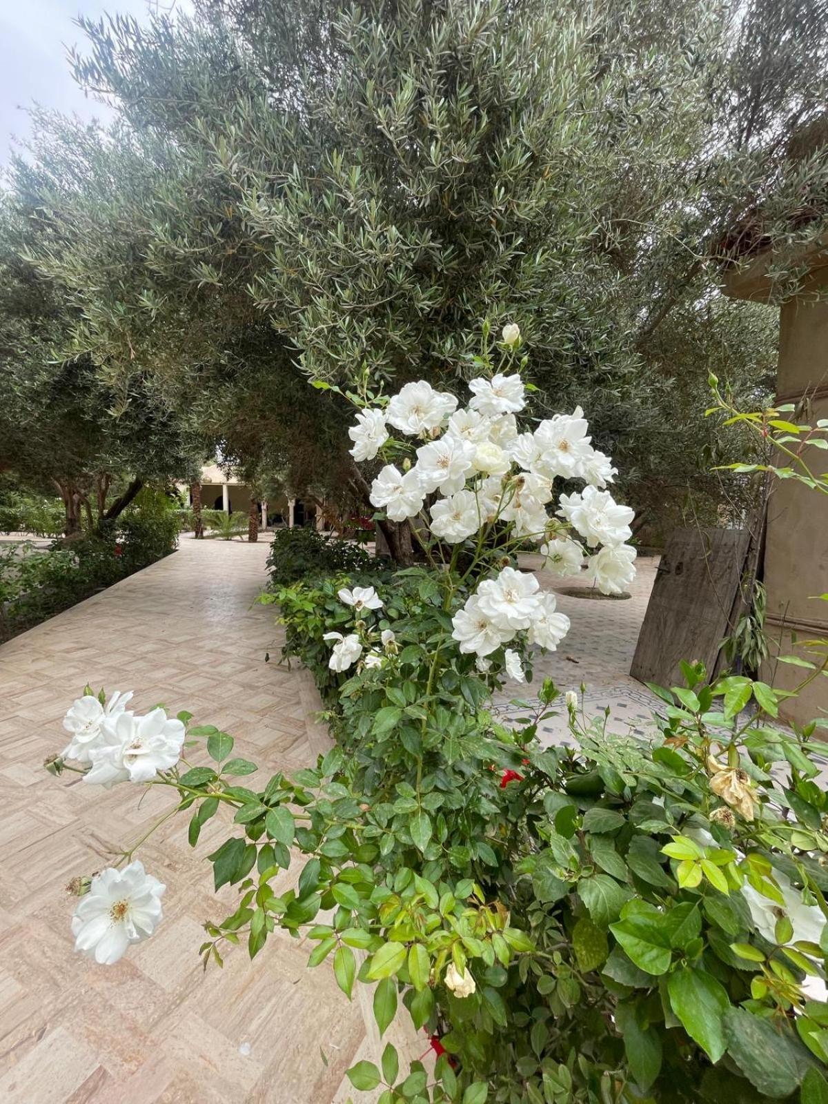 Riad Le Jasmin Taroudant Esterno foto
