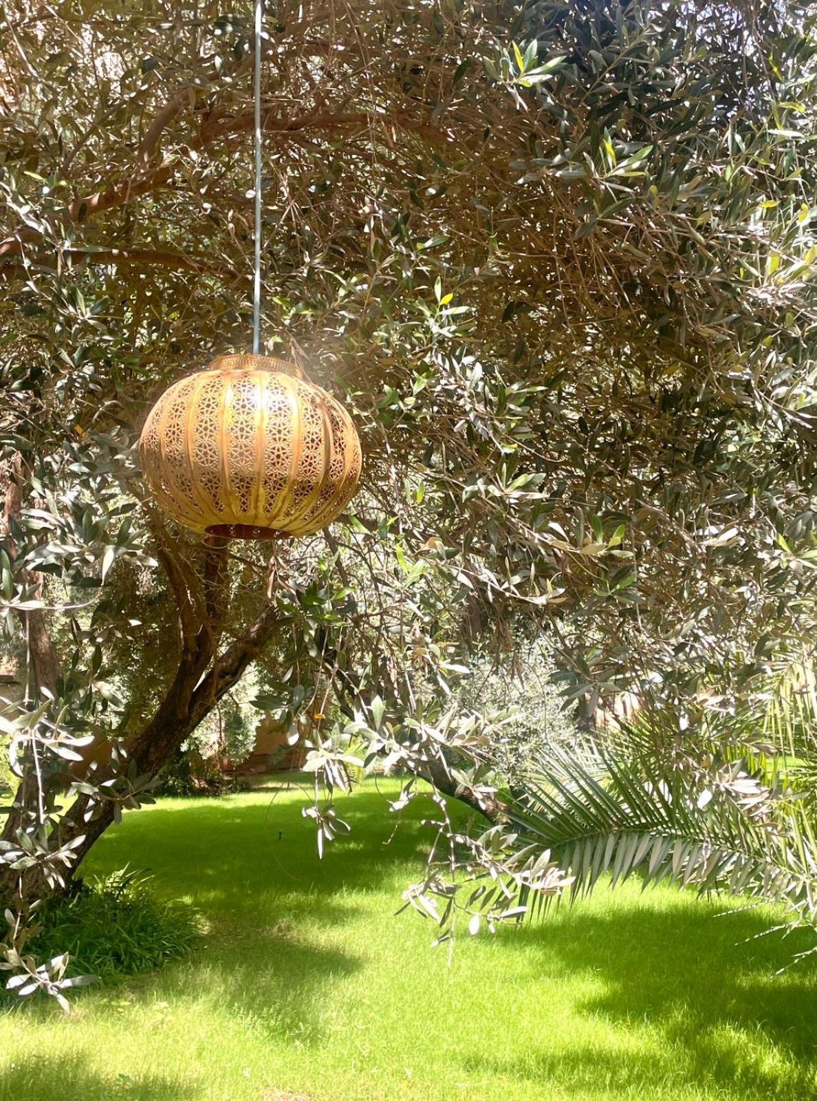 Riad Le Jasmin Taroudant Esterno foto